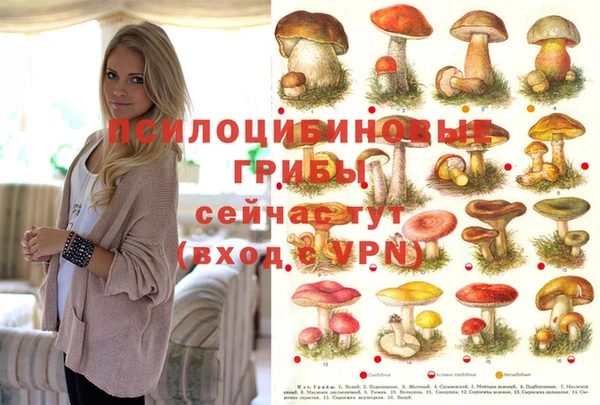 PSILOCYBIN Верхнеуральск