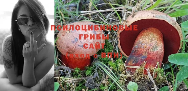 МДПВ Верхний Тагил